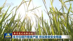 <b><b>科研团队研发了遥感长势诊断、变量逃肥动态调</b></b>